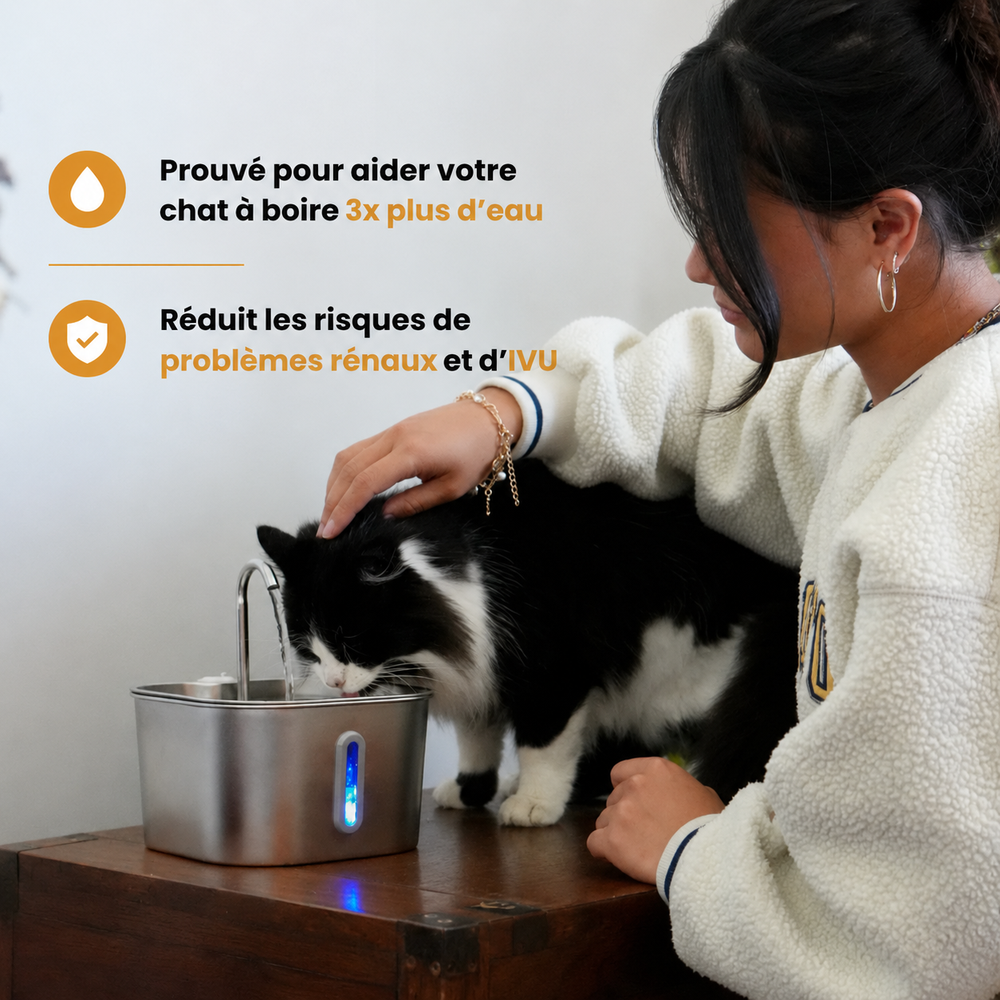 Abreuvoir pour chat - 2.2 Litres